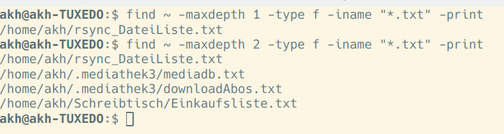 Linux cmd find file maxdept iname