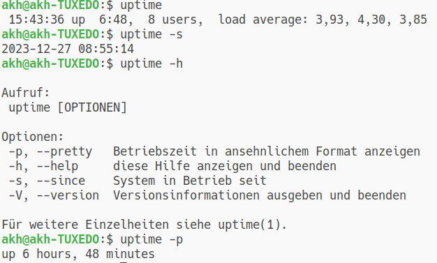 Ausgabe von Kommando uptime